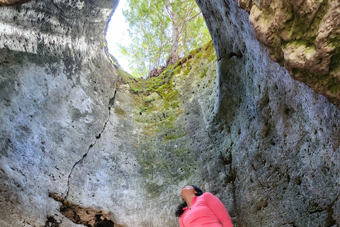 From Toronto: Lion’s Head Park Hike and Village Visit