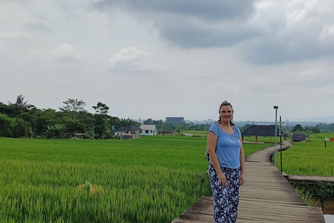 Botanische tuin Jakarta Bogor, rijstterras en waterval