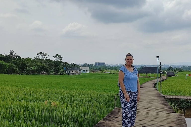 Jakarta Bogor Botanisk trädgård, risterrass och vattenfall