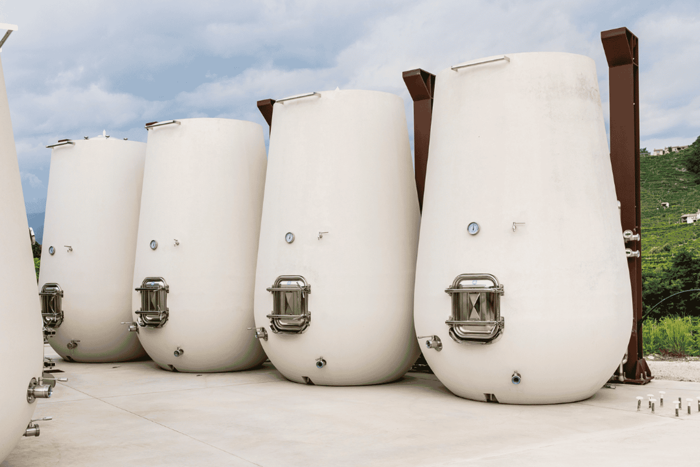 Valdobbiadene:Prosecco tasting,appetizers,winery & vineyard