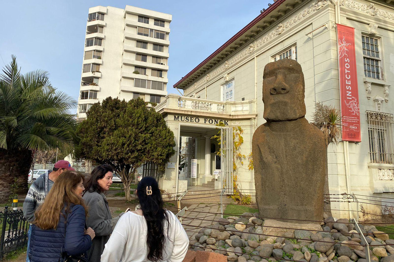 Casas del Bosque: Private Tour with Food Tasting/Lunch + Viña del Mar/Valparaiso