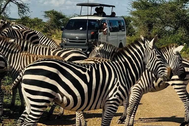Nairobi National Park Safari Game Drive in a 4x4 Nairobi: National Park 5 Hours Safari in a Shared 4x4 Jeep