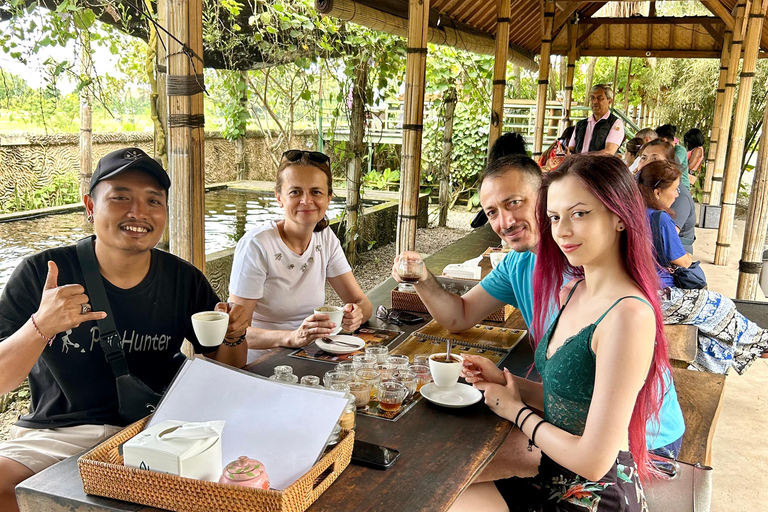 Ubud Waterfall, Temple, Rice Terrace & Art with Transfers