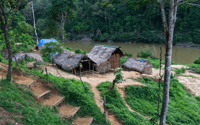Von Kuala Lumpur, Taman Negara National Park Ganztägige Tour - Hizvo