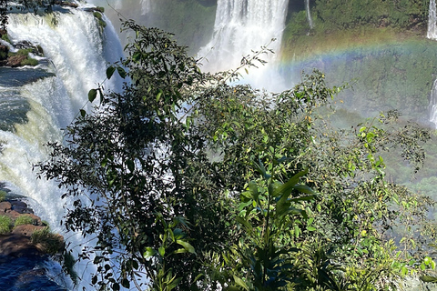 Foz do Iguaçu: Iguazú Falls Tour – Brazil and Argentina Sides Foz do Iguaçu: Tour of the Brazilian and Argentine Falls