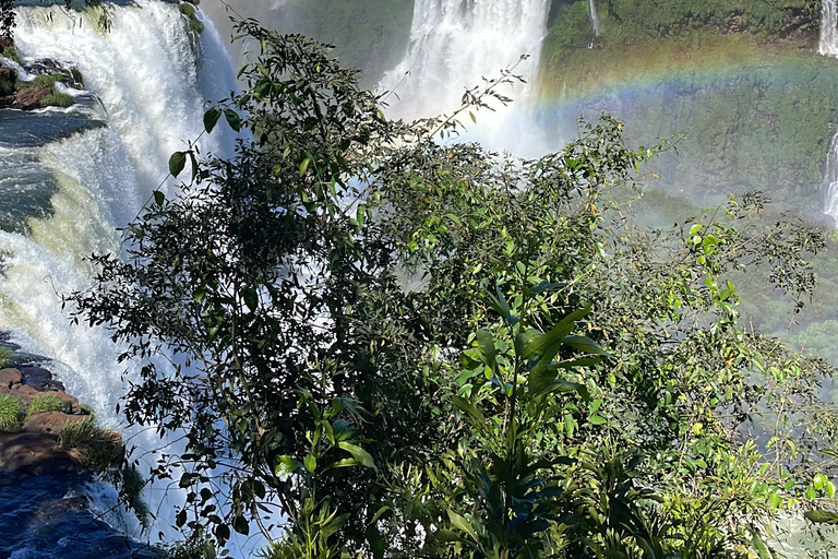 Foz do Iguaçu: Iguazú Falls Tour – Brazil and Argentina Sides Foz do Iguaçu: Tour of the Brazilian and Argentine Falls