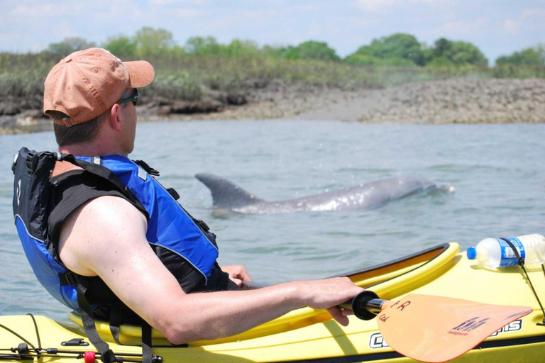 Charleston: Tandem- oder Einzelkajaktour mit einem GuideSumpfkajak Tour - Tarpon Sit-on-top Single