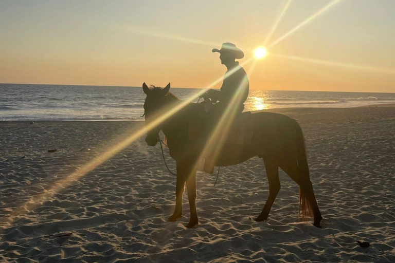 Sunset by Horse on the Beach