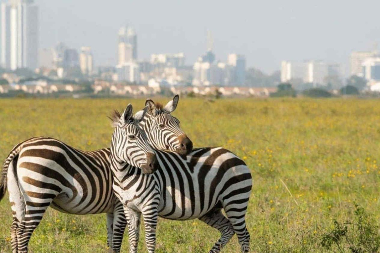 Nairobi: Nationaal park, Giraffe Center &amp; Souvenir TourNairobi: Nationaal park, Giraffecentrum &amp; Souvenir Tour