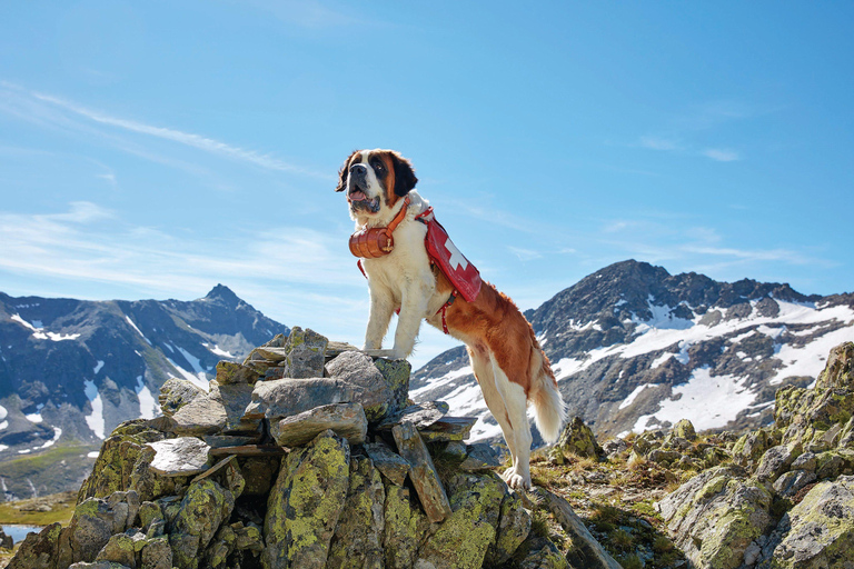 From Geneva: Chamonix Tour with St Bernard Dogs & Train Ride