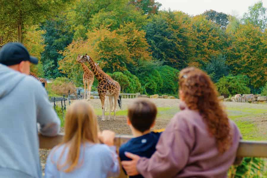 Dubliner Zoo: Eintrittskarte für ein wildes Erlebnis mit über 400 Tieren. Foto: GetYourGuide Dubliner Zoo: Eintrittskarte für ein wildes Erlebnis mit über 400 Tieren. Foto: GetYourGuide