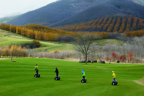 Sapporo: Hokkaido Snowy Wilderness Day Tour