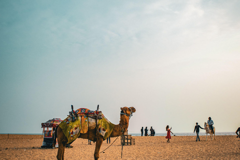 Jaisalmer: From Golden Dunes to Folk Rhythms and Dinner