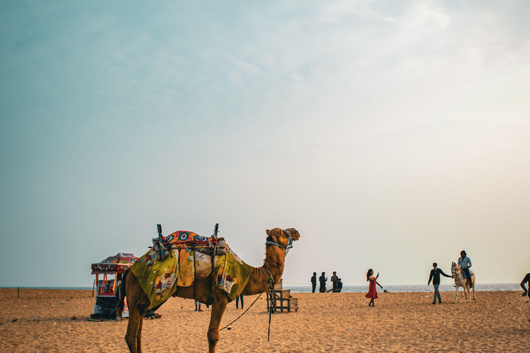 Jaisalmer: From Golden Dunes to Folk Rhythms and Dinner