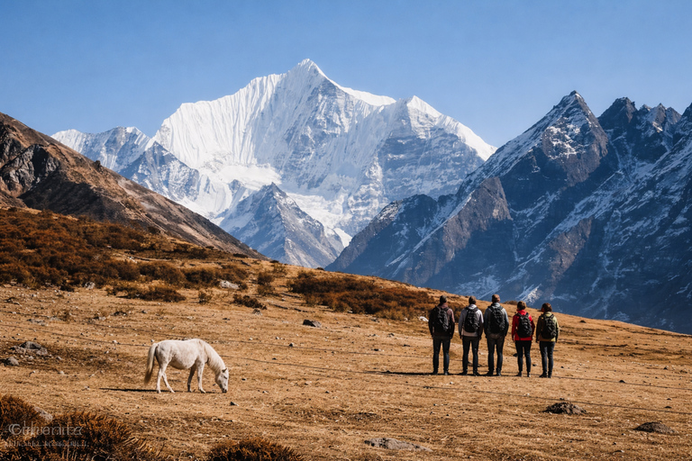 Langtang Highlands Trek via Tserko Ri & Sherpagaon