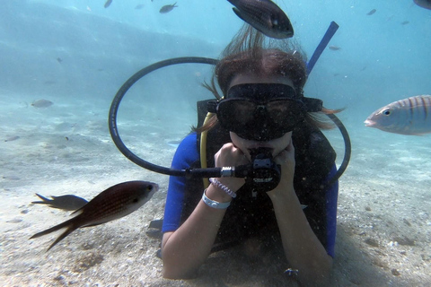 Heraklion: Lección de buceo para principiantes con instructor PADIInmersión para principiantes en la bahía de Agia pelagia - Sin traslado