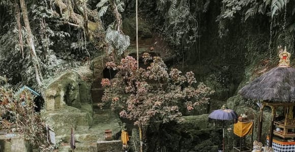 Ubud: Tour of Monkey Forest, Temple, Waterfall, Rice Terrace