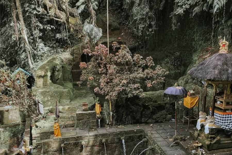 Ubud: Monkey Forest, Tempel, Wasserfall & Reisterrassen. Foto: GetYourGuide Ubud: Monkey Forest, Tempel, Wasserfall & Reisterrassen. Foto: GetYourGuide