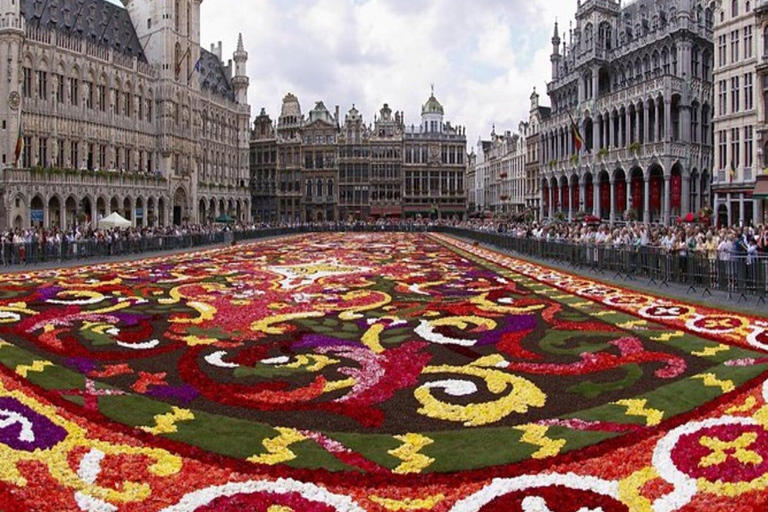 Private tour : Best of Brussels half day From Brussels