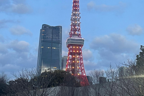 Tokyo Private Luxury City Tour with Professional Guide