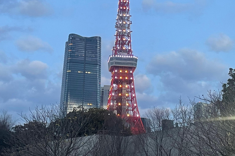Tokyo Private Luxury City Tour with Professional Guide