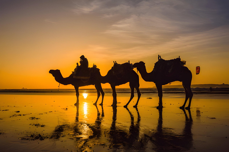 Desde Marrakech Excursión de un día a Agadir