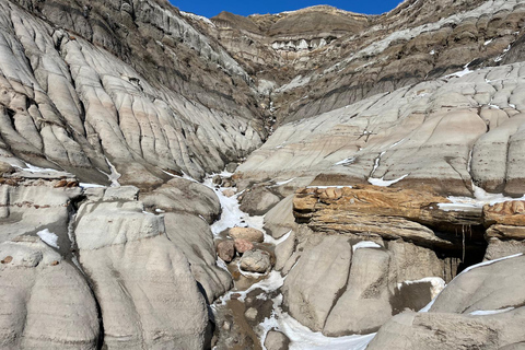 From Calgary: Drumheller Dinosaur Valley Full-Day Tour