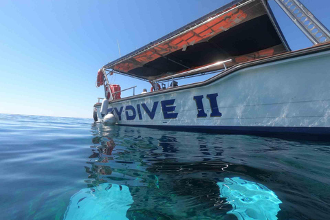 FROM PAPHOS: Snorkeling at Moulia Rocks (boat)
