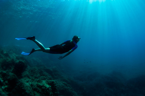 Nice: Snorkeling trip by boat, Mala Grotto, Villefranche harbor