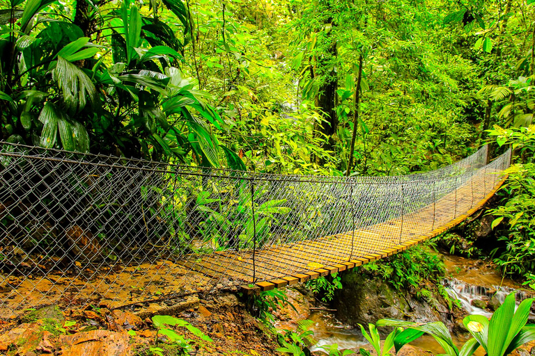 San Pedro Sula: Azul Meámbar National Park Day Trip