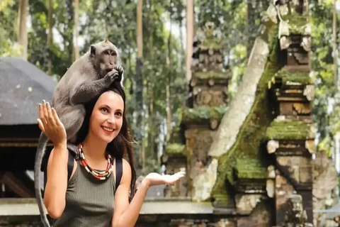 Ubud: Monkey Forest, Pura, Rice Terraces, Hidden Waterfall Ubud : Private Tour With Ticket