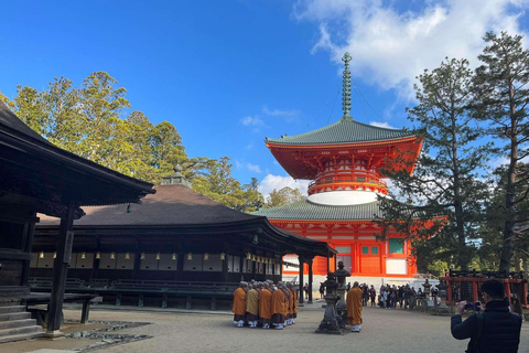 Wakayama: Private Hidden Trails & Nachi Falls Day Tour