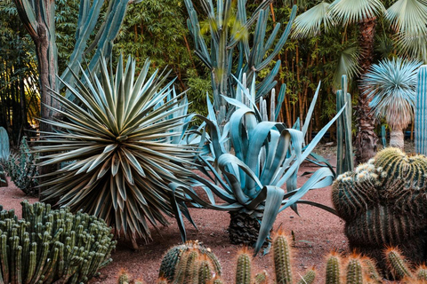 Marrakech: Majorelle Tuin, YSL en Berber Museum Entree