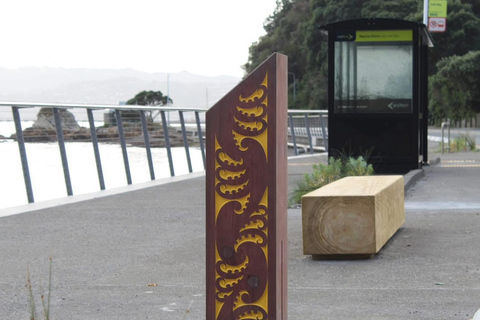 Wellington: eBike around the Harbour then Ferry back