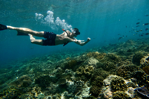 Bali : plongée avec tuba dans deux sites du Blue Lagoon, avec déjeuner et transportSnorkeling à deux sites dans le lagon bleu, rendez-vous au lieu de rendez-vous.