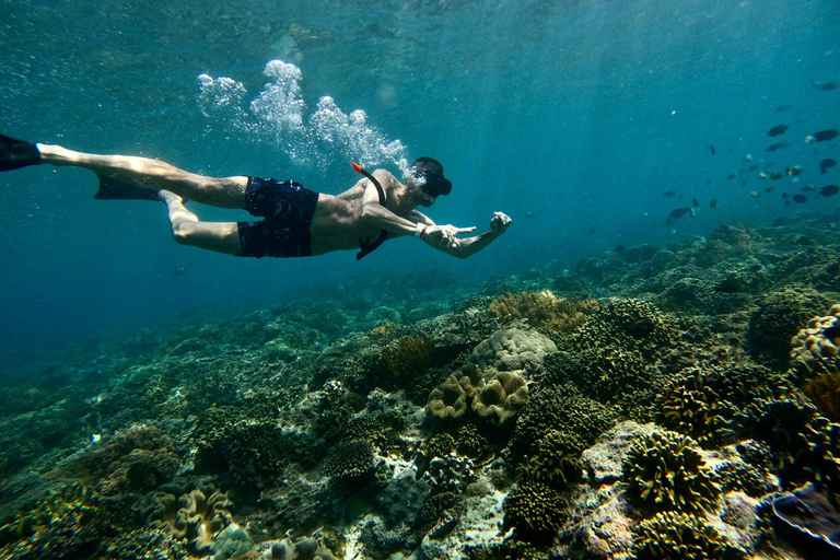Bali : plongée avec tuba dans deux sites du Blue Lagoon, avec déjeuner et transportSnorkeling à deux sites dans le lagon bleu, rendez-vous au lieu de rendez-vous.