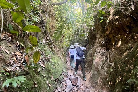 Hike or Boat Trip: Penang National Park & Garden Pick Penang National Park (Trek-In, Boat-Out) & Spice Garden