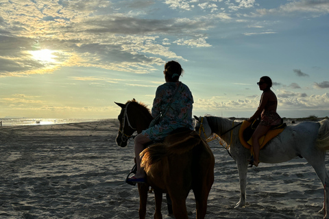 Salalah: Paardrijden op het strand met hotel pick &amp; drop60 minuten paardrijden op het strand