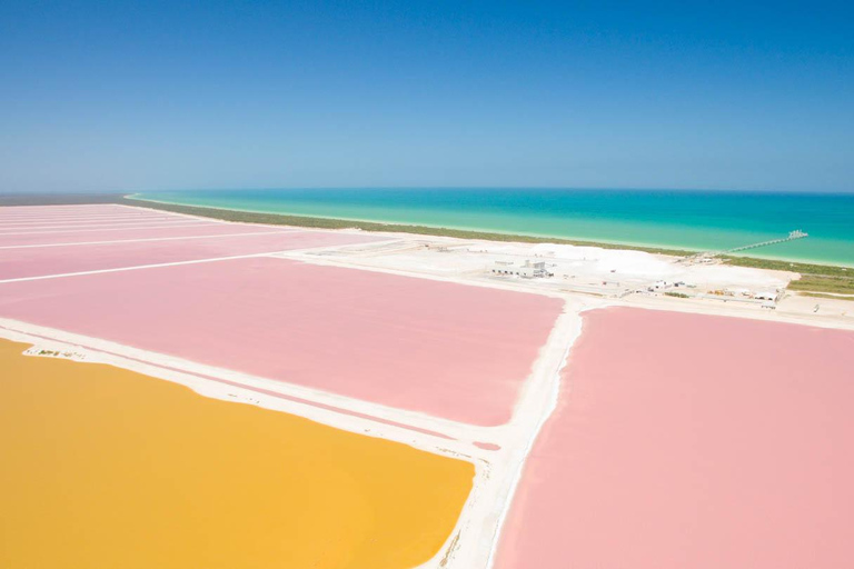 Från Cancun: Rundresa Las Coloradas och Rio Lagartos All Inclusive