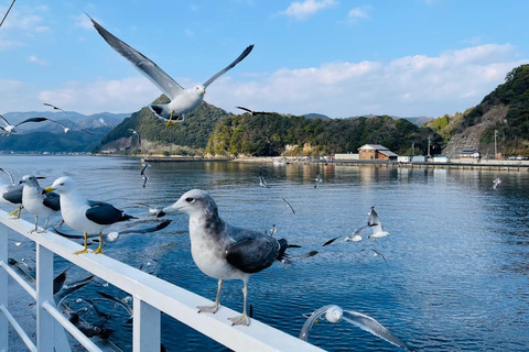 Osaka/Kyoto: Amanohashidate & Ine Funaya & Ine Bay Day Tour Excludes Cable Car & Cruise: 8:00AM Osaka