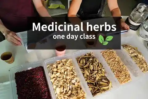 Séoul : Visite de la K-Medicine et préparation d'un thé aux herbes