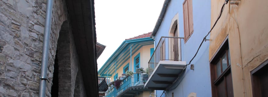 Expériences culinaires avec déjeuner : Lefkara et Kato Drys