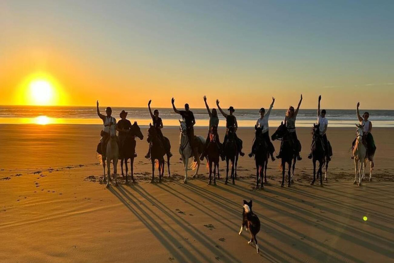 Agadir and Taghazout: 2-Hour Sunset Beach Horseback Ride2-Hour Tour in English, French, German, or Polish