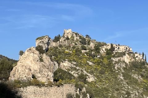 Tour di mezza giornata privato da Nizza a Monaco