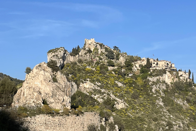 Tour di mezza giornata privato da Nizza a Monaco