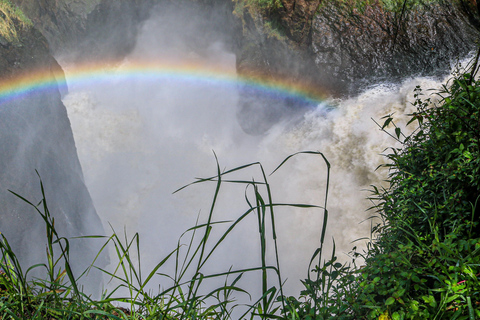 Uganda Art, with Wildlife in Murchison Falls National Park