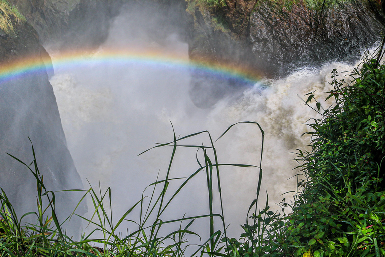 Uganda Art, with Wildlife in Murchison Falls National Park