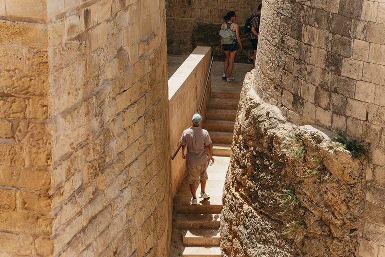 Malte : Gozo et îles Comino, Lagon bleu et SeacavesÎles Comino et Gozo - Bateau uniquement