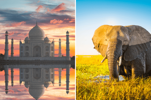 From Delhi: Taj Mahal Sunrise Tour with Elephant SOS Center Tour With Car + Guide