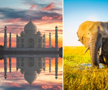 From Delhi: Taj Mahal Sunrise Tour with Elephant SOS Center